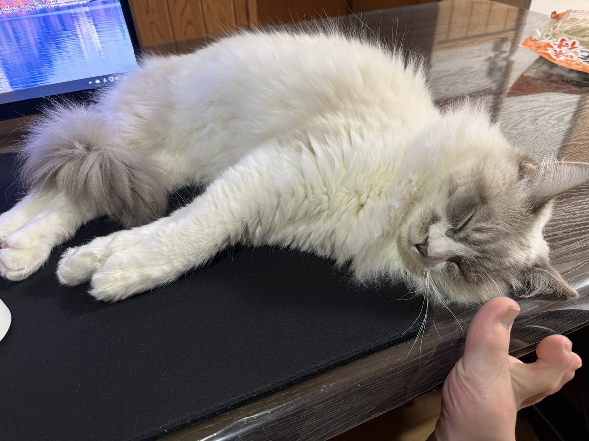 まーくん a.k.a まんくん (@makyoslash) / Posts / X