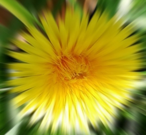 Cassandra Neonsun 📷📸 tweet media