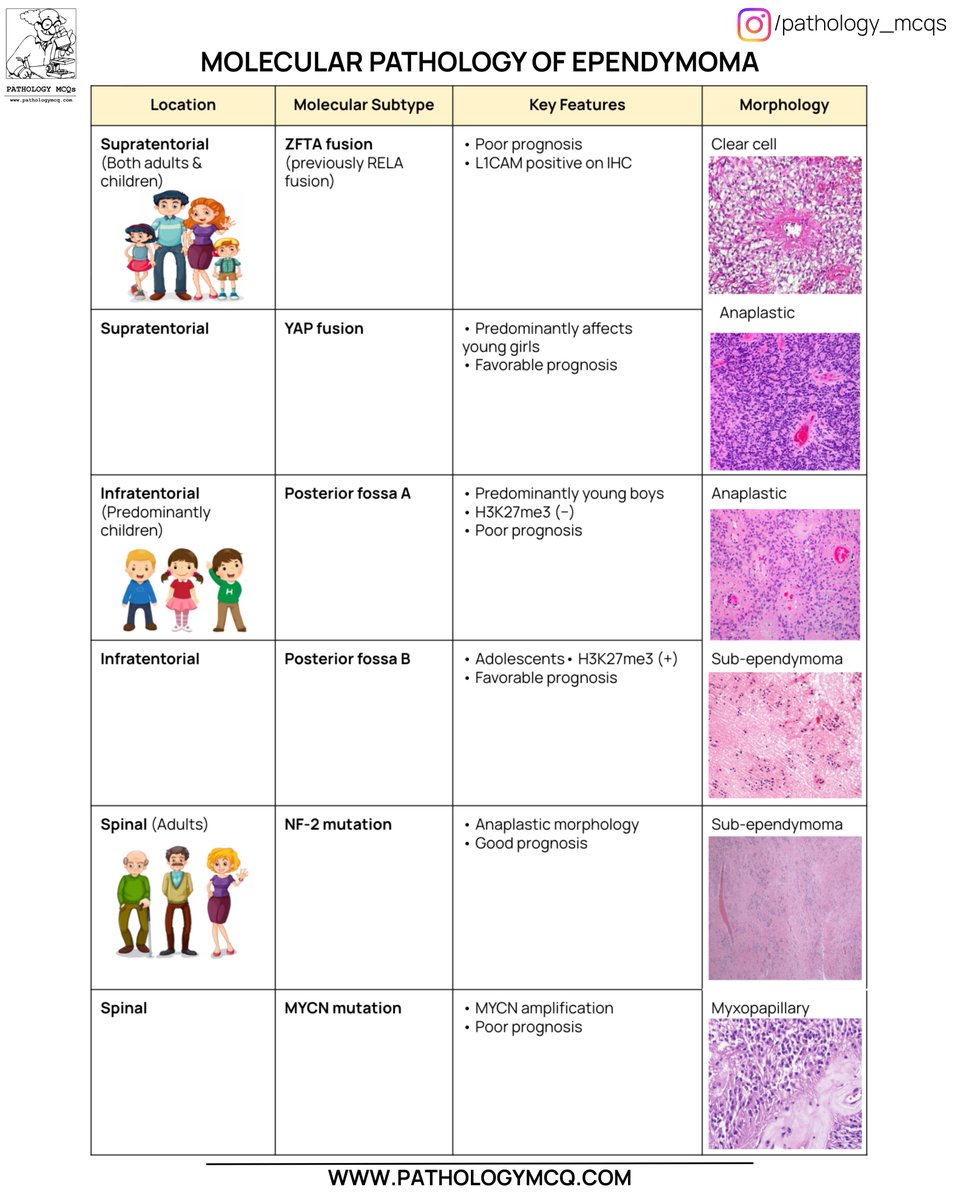 Pathology mcqs tweet media