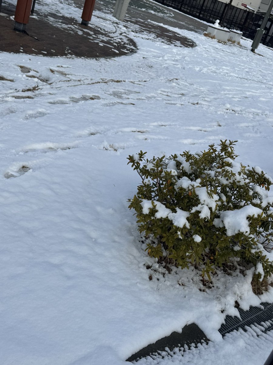 MAHIRO | 美容師Assistant tweet media