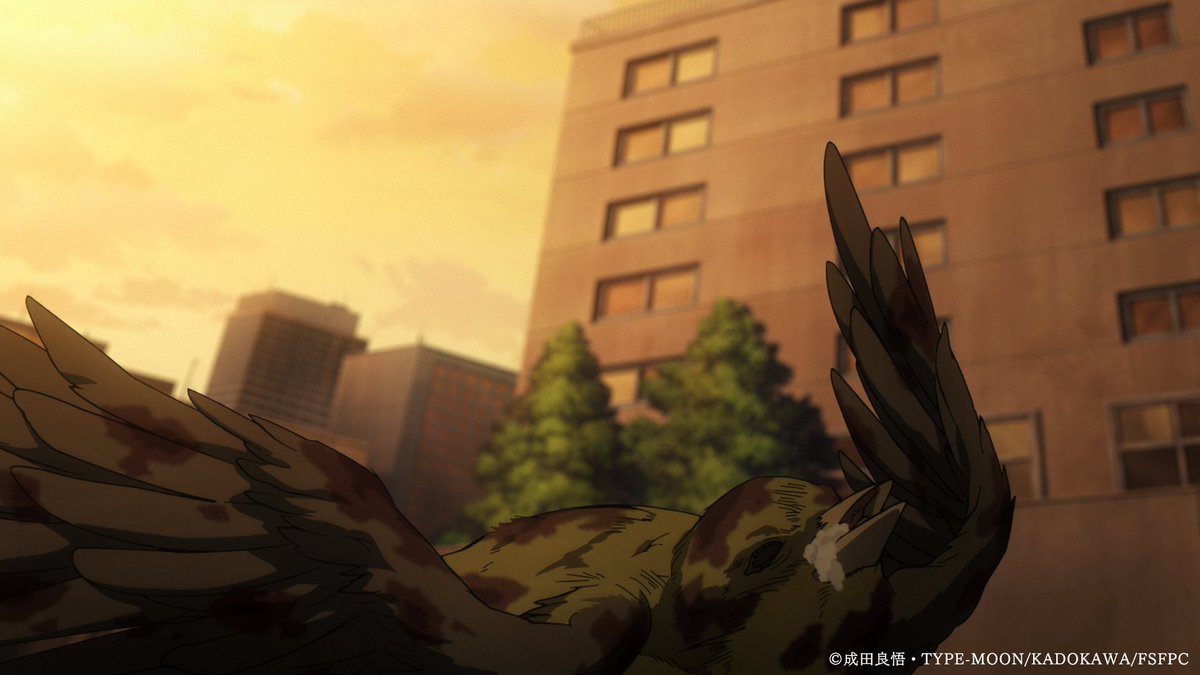 Snowfield Daily tweet media