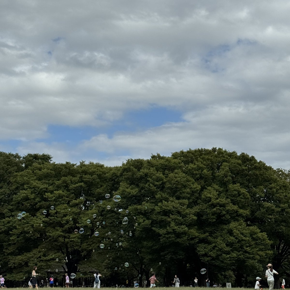 하루에 두시간 , 세시간 자도 지치지만 행복한 요즘. 
잘 버텨라 모두를 위해서 !
대구 맛집 좀..