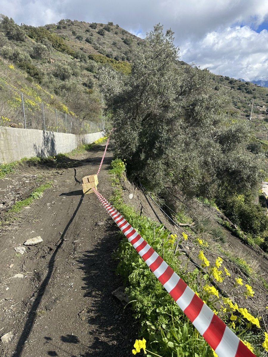 Ayuntamiento Torrox tweet media