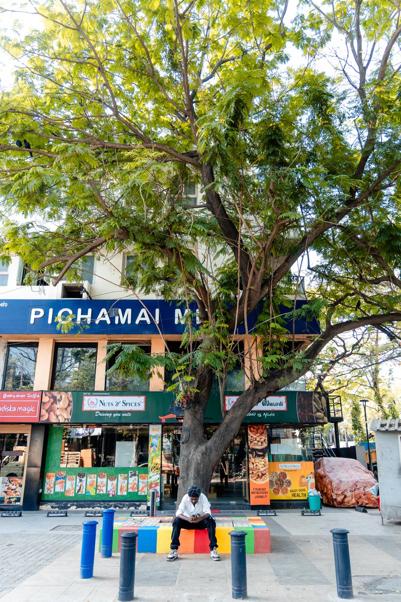 ITDP India tweet media