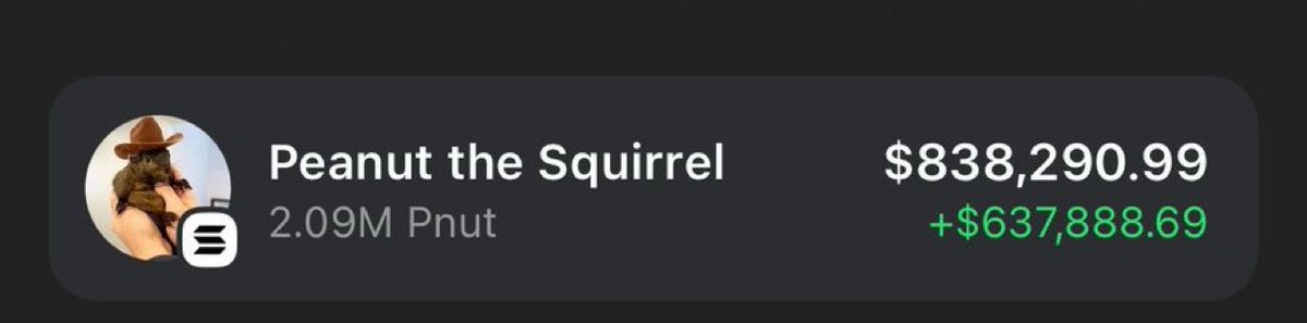 This wallet turned $17 into $1,700,000 on $Pnut and stopped trading since. 100,000x

Do you understand how easy it is?