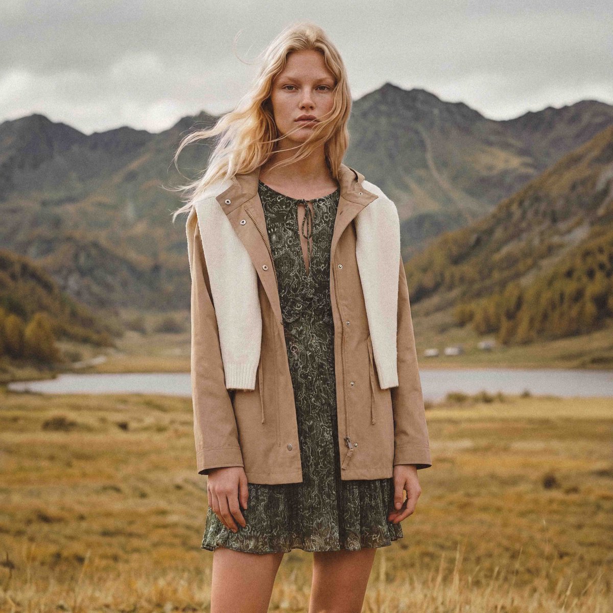 Springfield tweet media