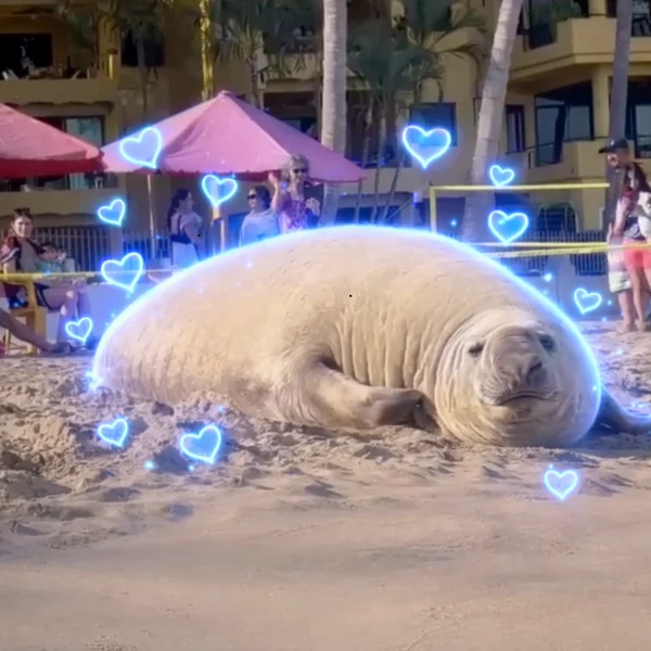 defiliquid tweet media