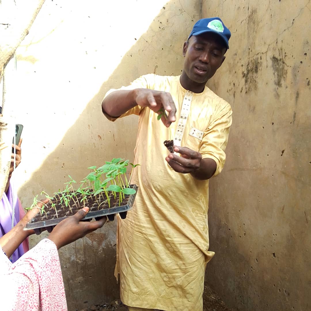 From Training to Transplantation: The Green Revolution has taken root in Sokoto! 🌱

#ImpactInAction #WomenGrowGreen #Sokoto2026 #DripIrrigation #FoodSecurity #WomenInAgriculture #ClimateAction #CREACCNG
