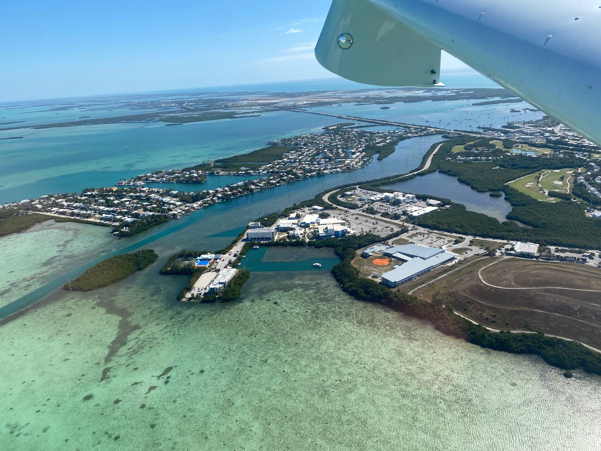 LakeAmphibFan's tweet image. 