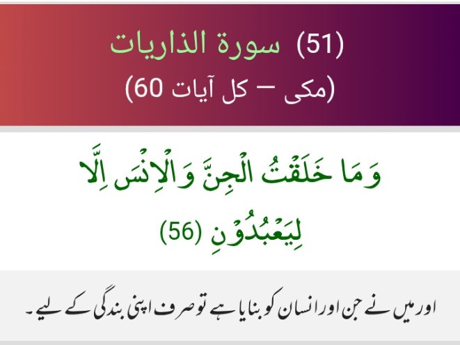 S_awn1's tweet photo. This ayat establishes that the sole purpose of human and jinn existence is to recognize, submit to, and worship Allah alone.
#خاتم_النبیین_رَحۡمَةًلِّلۡعَٰالَمِينَ_محمّدﷺّ
#QuranicTranslation
#Islam https://t.co/z4z80Hzw1C