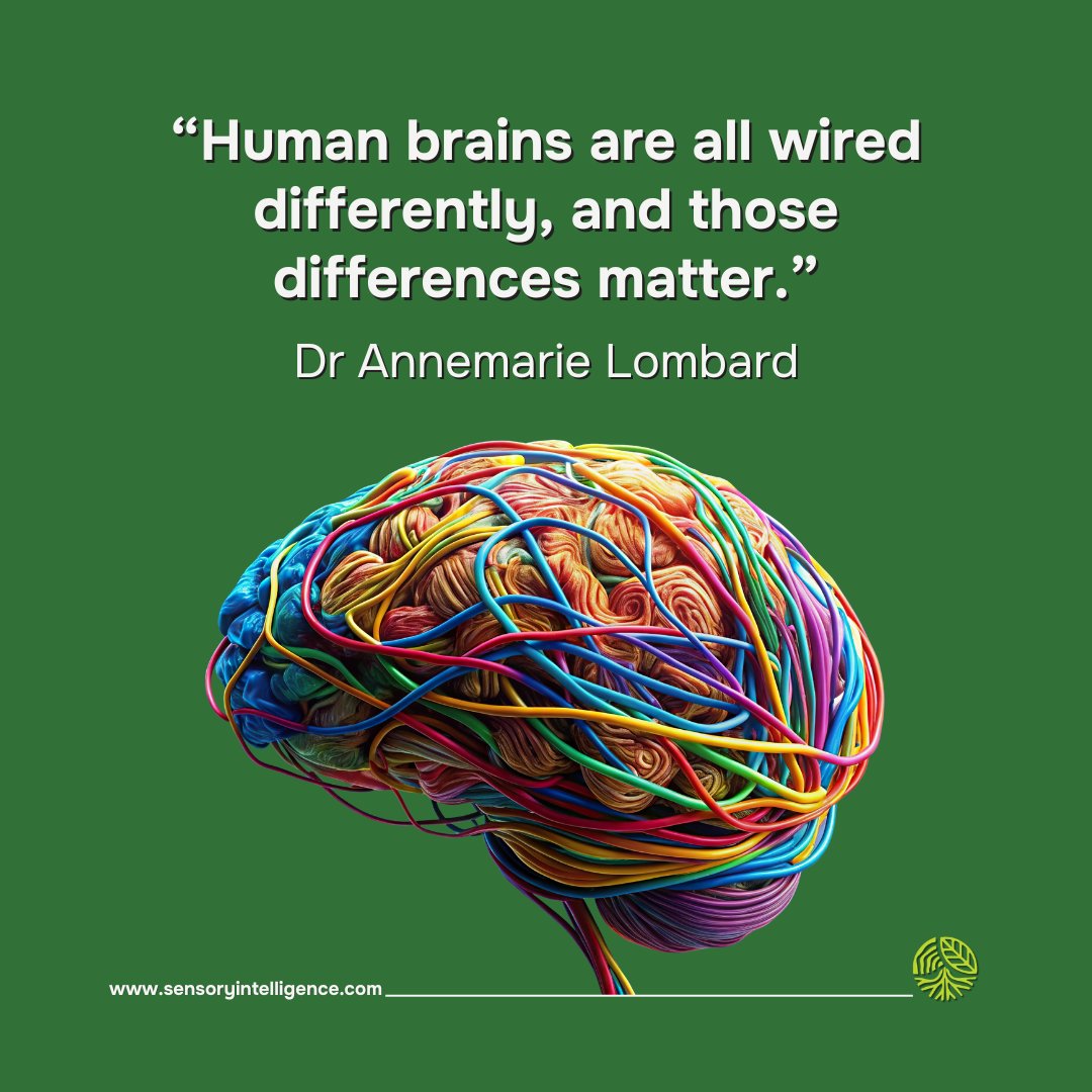 Sensory Intelligence tweet media