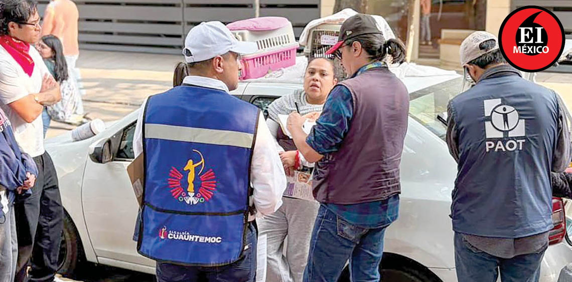 ElInformanteMX's tweet photo. #Operativo en la @AlcCuauhtemocMx confirma #CondicionesAdecuadas de #animales en #adopción
Se revisó a 53 #AnimalesDeCompañía pertenecientes a 12 #asociaciones y #RescatistasIndependientes.
Tag: @AlessandraRdlv
https://t.co/zTcocoRkYT https://t.co/dsrxvc1zM6