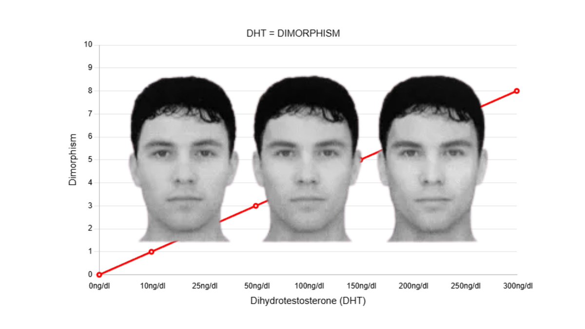 becoming dimorphic is about T:E2 ratio - not total testosterone

but also about DHT; especially the jaw

the jaw has more androgen receptors than ANY other bone in the face and these ARs respond VERY WELL to DHT

DHT in the jaw increases
❖ AR expression
❖ AR protein
❖ AR