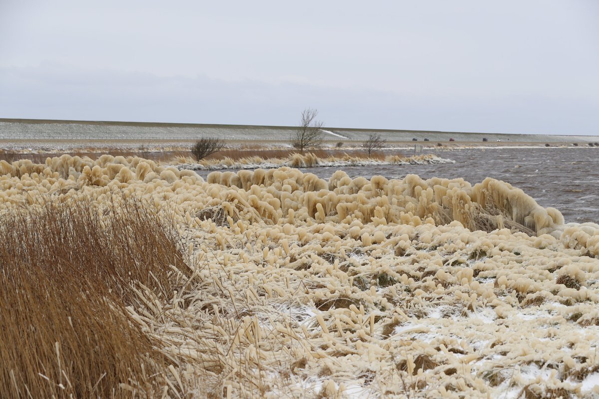 Burt Sytsma tweet media