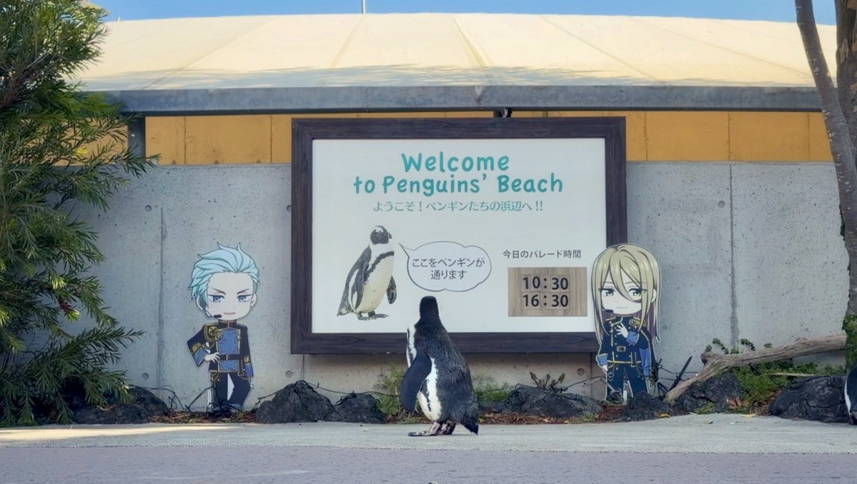 公式】横浜・八景島シーパラダイス アニメ/ゲーム部