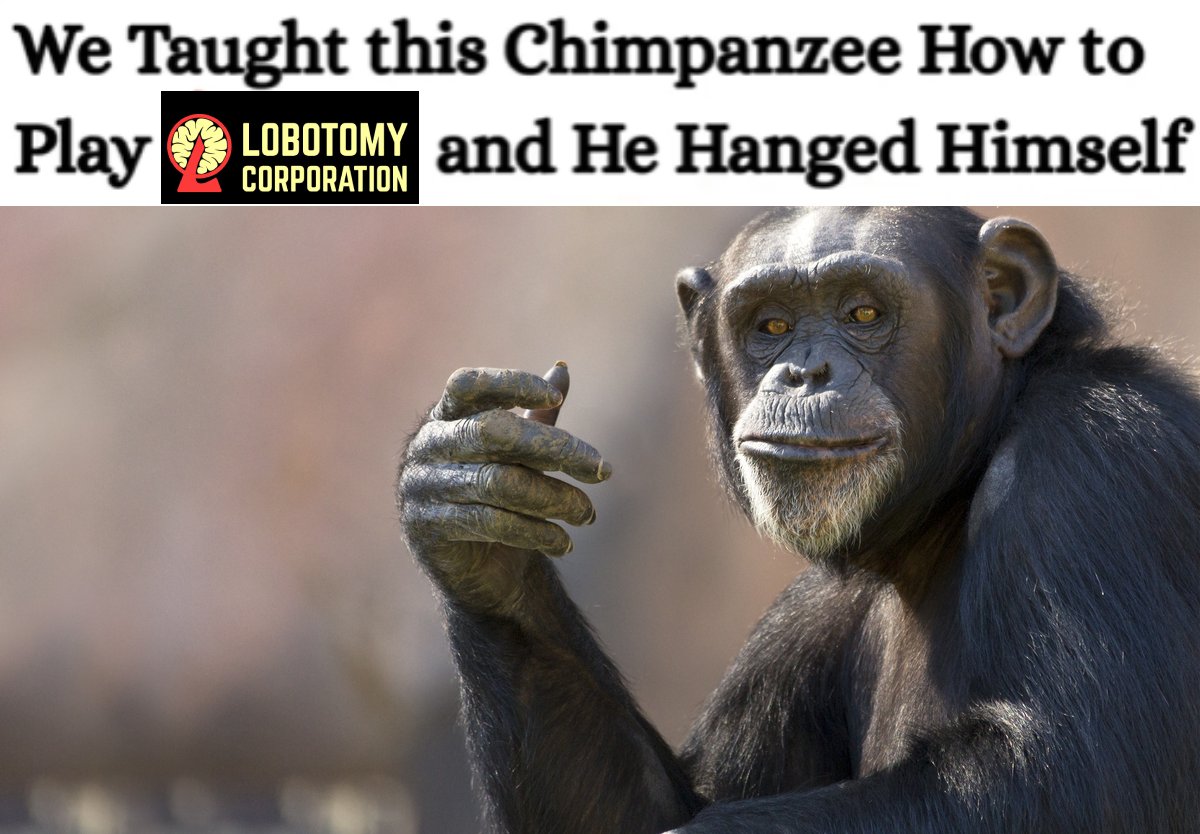 Marci (@marciszek___) on Twitter photo 