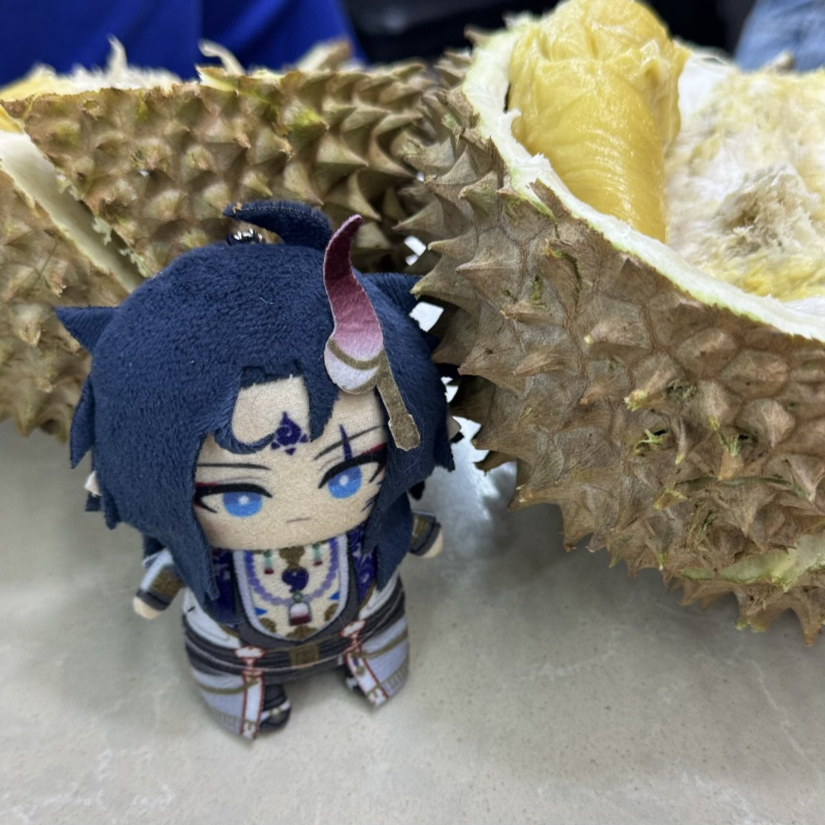 青猫🌱 tweet media