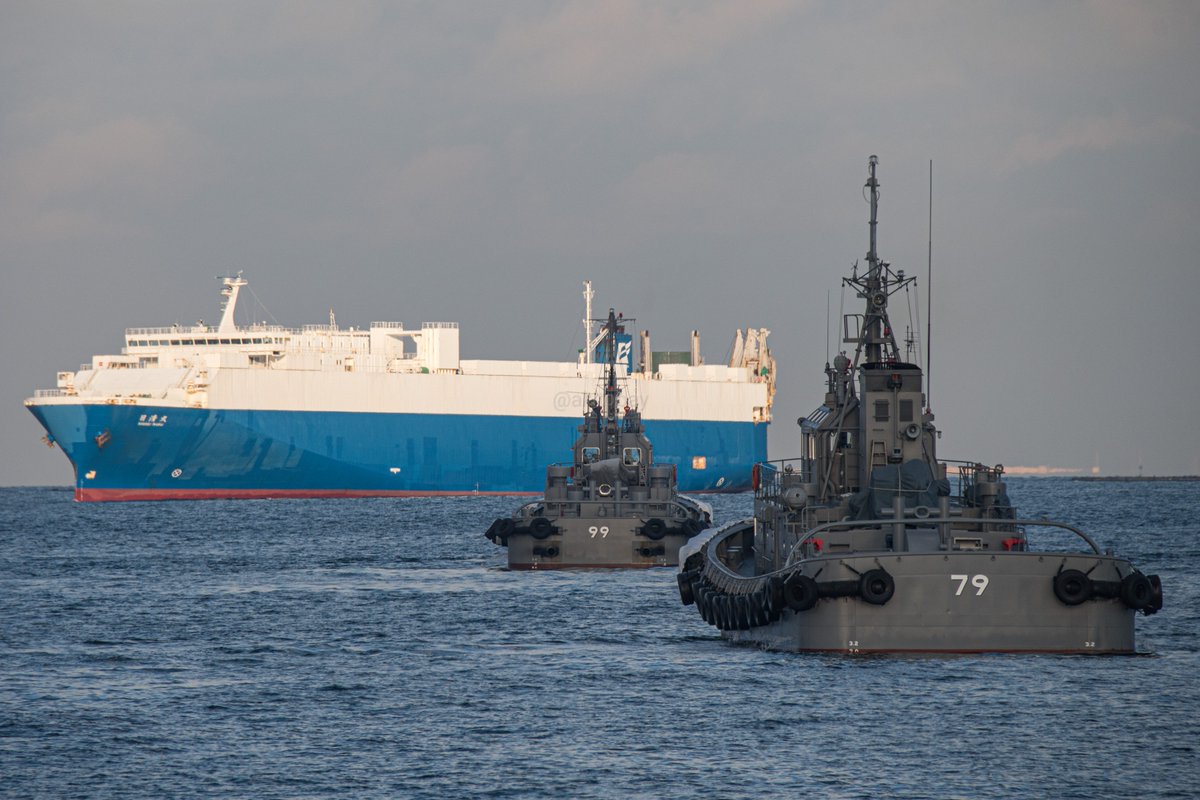 RORO船 日清丸 YT-99 YT-79 #YOKOSUKA軍港めぐり