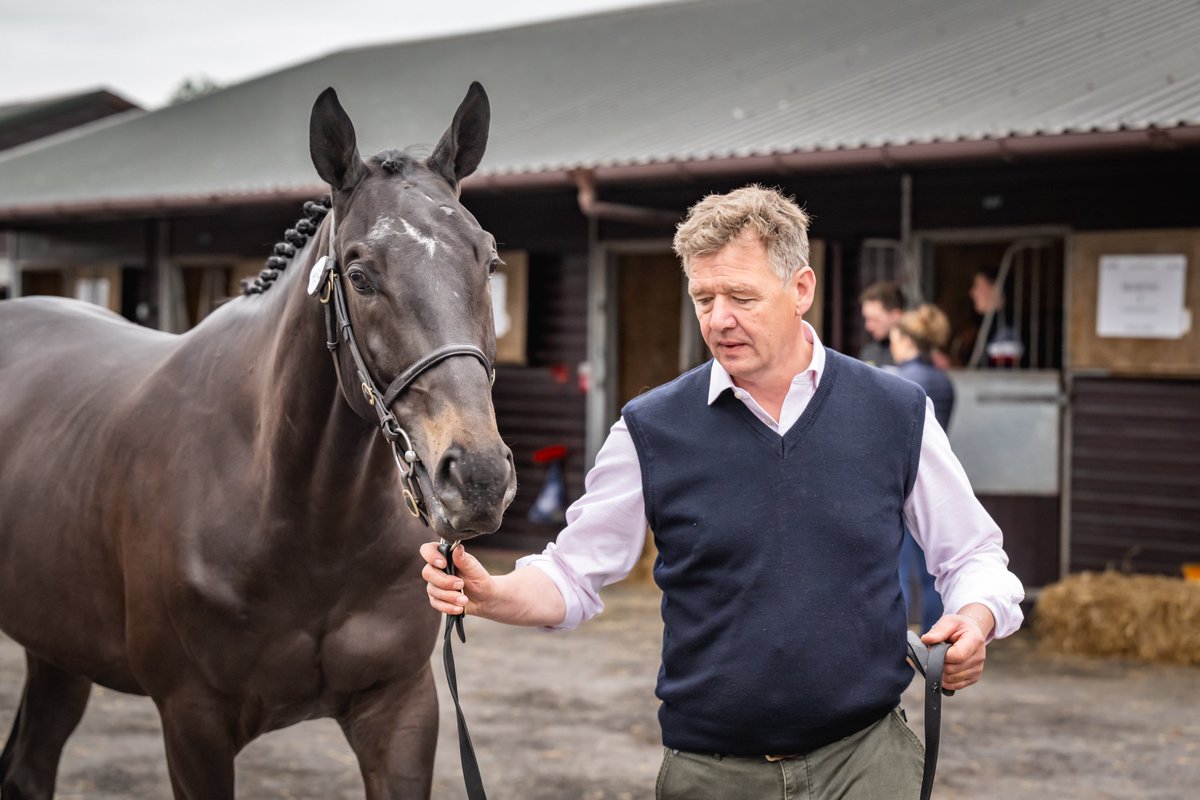 Goffs UK tweet media