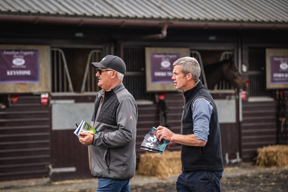 Goffs UK tweet media