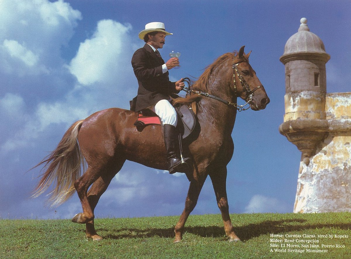 El "latinoamericanismo" cursi no funciona, no porque la unidad sea indeseada, sinó porque busca unir a los "latinos" en bases de ser vagos hipersexualizados y ruidosos.

Por otro lado, el Hispanismo (el auténtico) nos une de forma trasendental en bases históricas y de Fe común.