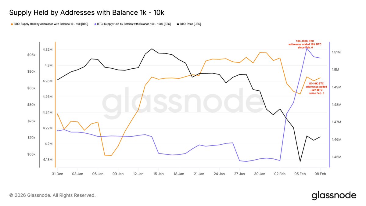 Bitcoin whales have accumulated 40,000 BTC during the recent drop.