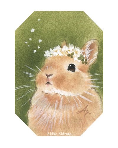 よい夢を🍀🌟