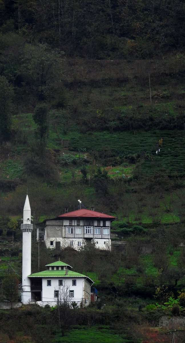 Gidersen yakındır, bakarsan uzak. 

▪️Trabzon