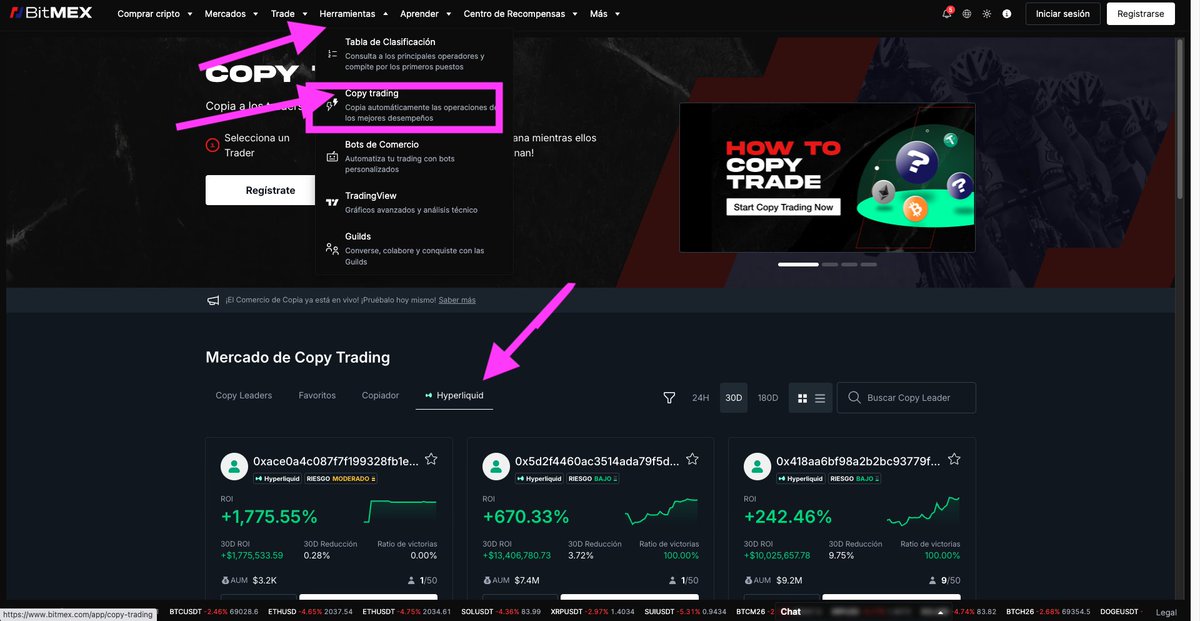 Noelia Crypto tweet media