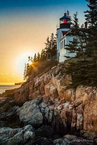 GOOD MONDAY MORNING 💛 💛 💛

For who is God except the Lord? Who but our God is a solid rock? Psalm 18:31

My victory and honor come from God alone. He is my refuge, a rock where no enemy can reach me. Psalm 62:7