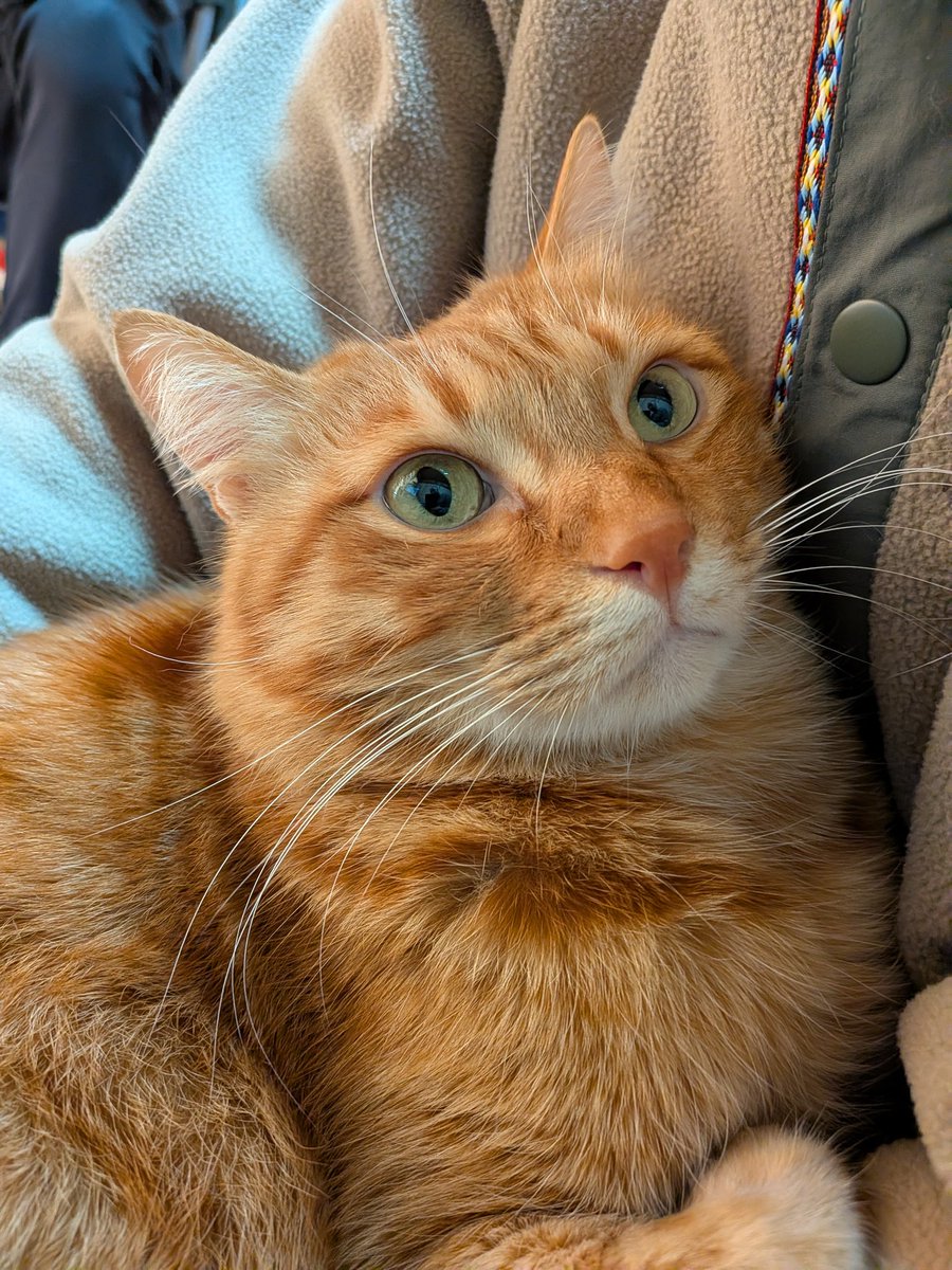 SEO工房 (@SEO_KO_BO_) / Posts / X