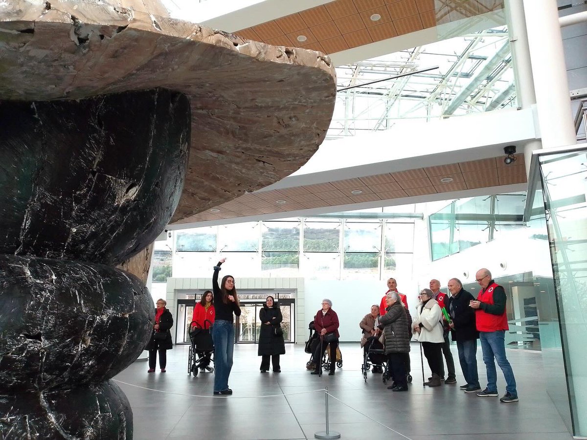 Cruz Roja en La Rioja tweet media