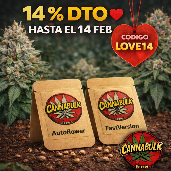 cannabulkseeds's tweet image. 💘 LOVE CAN BE GROWN TOO 💘

💘 14% OFF FASTVERSION &amp;amp; AUTOFLOWER seeds
🗓️ Until February 14
🎟️ Code: LOVE14
🌱 Fast genetics, easy growing.
👉 cannabulkseeds.com/?v=7885444af42e
#cannabulkseeds #autoflower #fastversion #grow #valentinesday