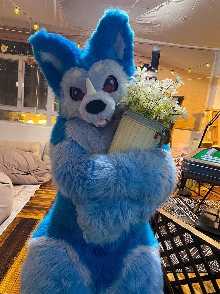 Blue Monday來看一下採花花的狗狗吧💐

#BlueMonday
毛替：<a href="/takuma__0104/">撻熊</a> 
📸：內餡