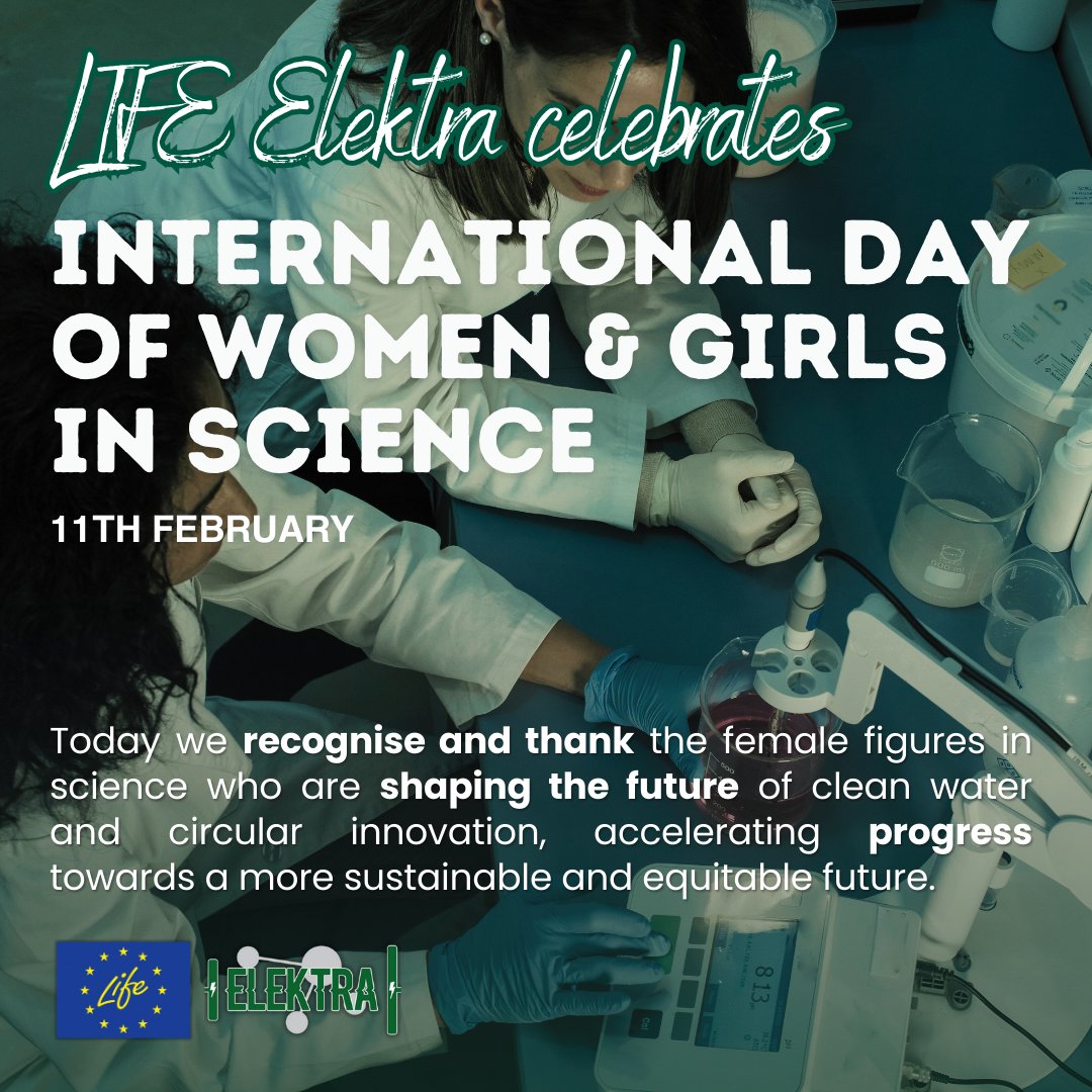 ELEKTRA LIFE PROJECT tweet media