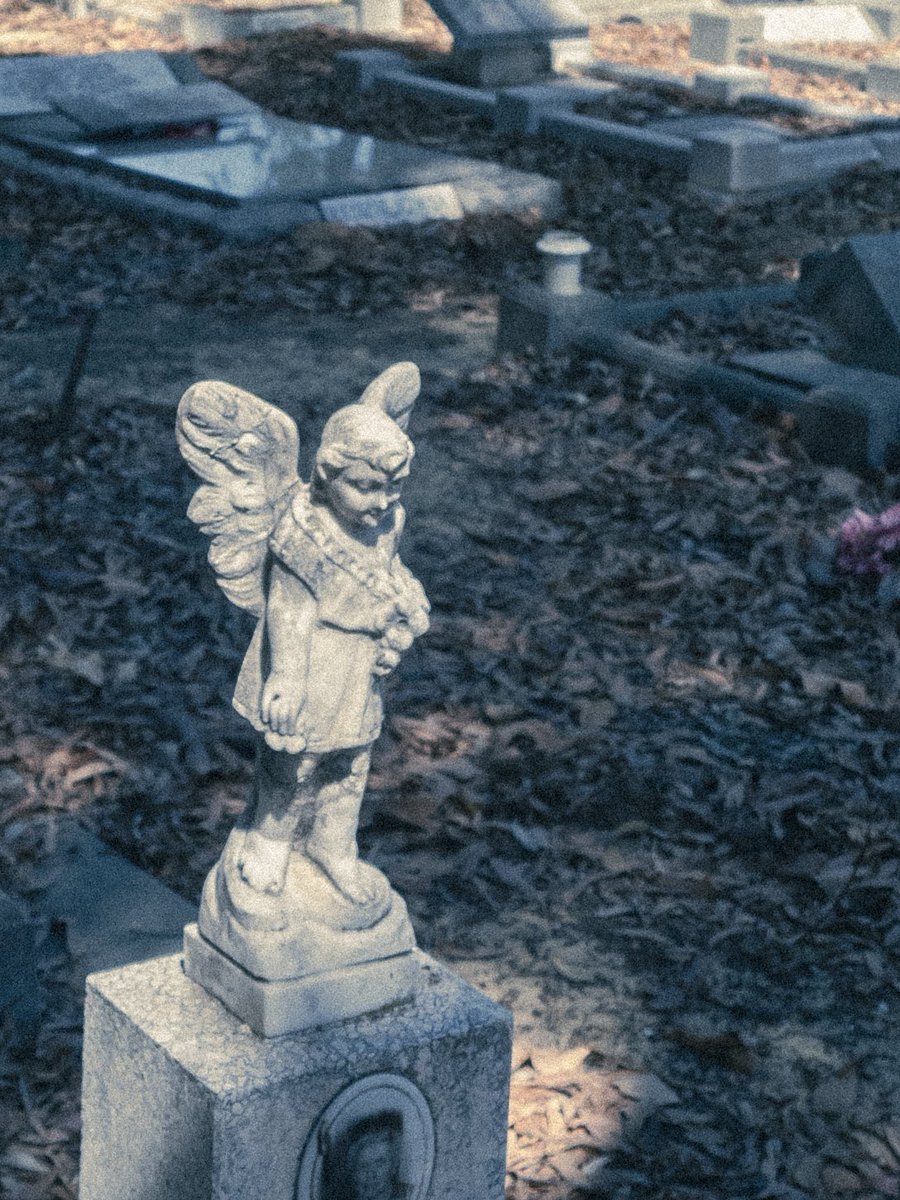 artoodeetoo's tweet photo. Guardians of slumbering souls.
#Distilled26 https://t.co/iUGe4nTxmr