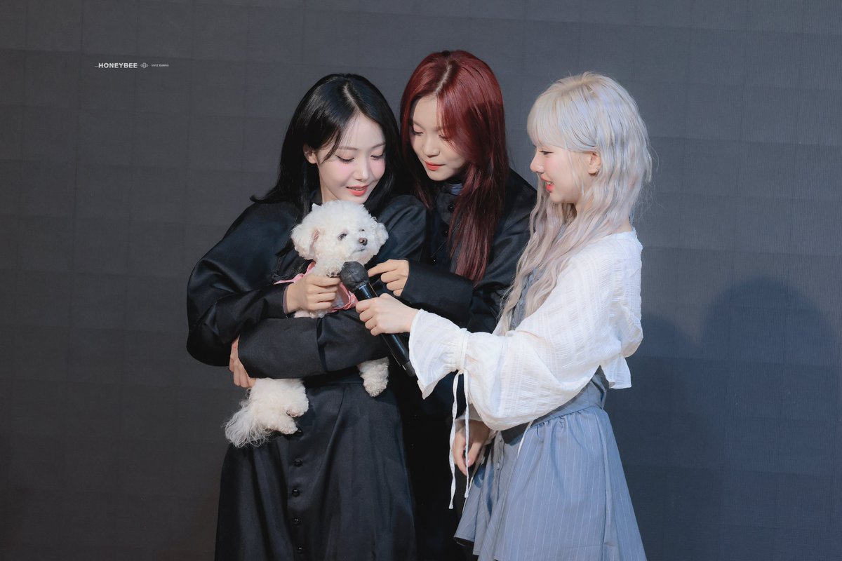 삐지들 4주년 축하해~🐱🐹🐰+🐶
#비비지_4주년_4랑해 
#비비지 #은하 #신비 #엄지 
#VIVIZ #EUNHA #SINB #UMJI