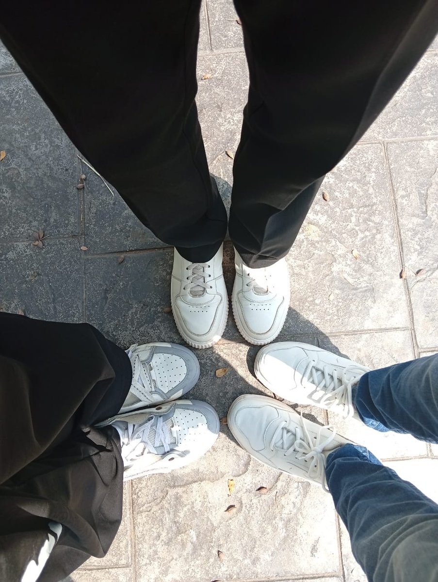 Josie Okulor tweet media