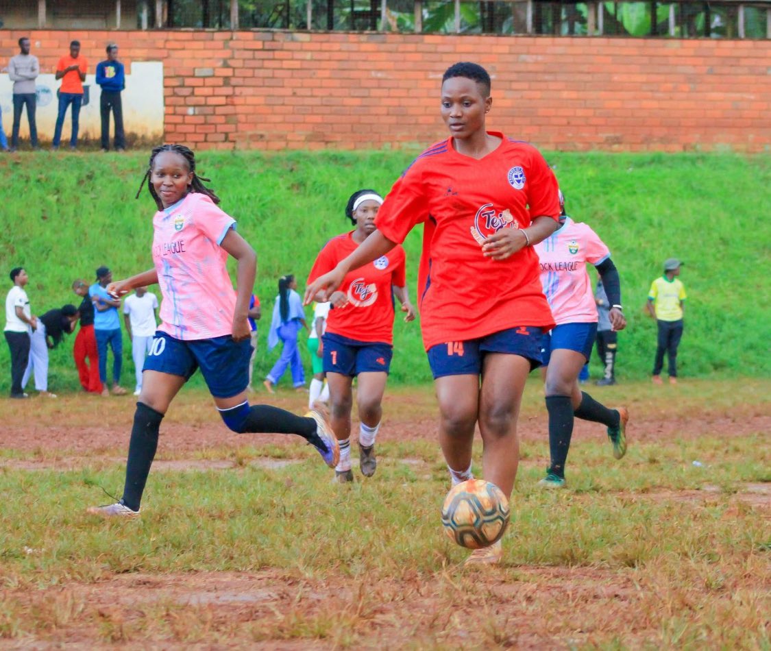 Friends Of Shivan tweet media