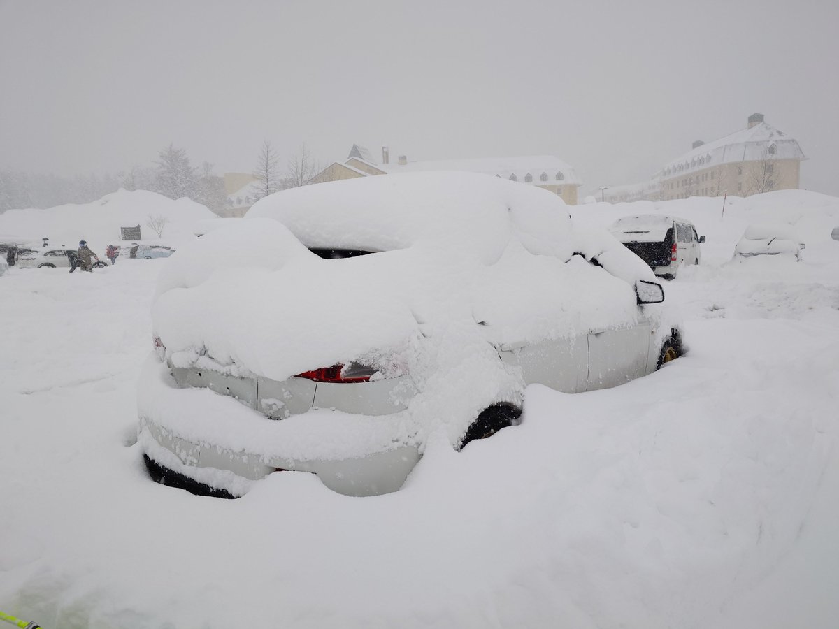 FPGA121's tweet image. これはﾐﾂﾋﾞｼｷﾞｬﾗﾝﾌｫﾙﾃｨｽｽﾎﾟｰﾂﾊﾞｯｸﾗﾘｰｱｰﾄだったもの