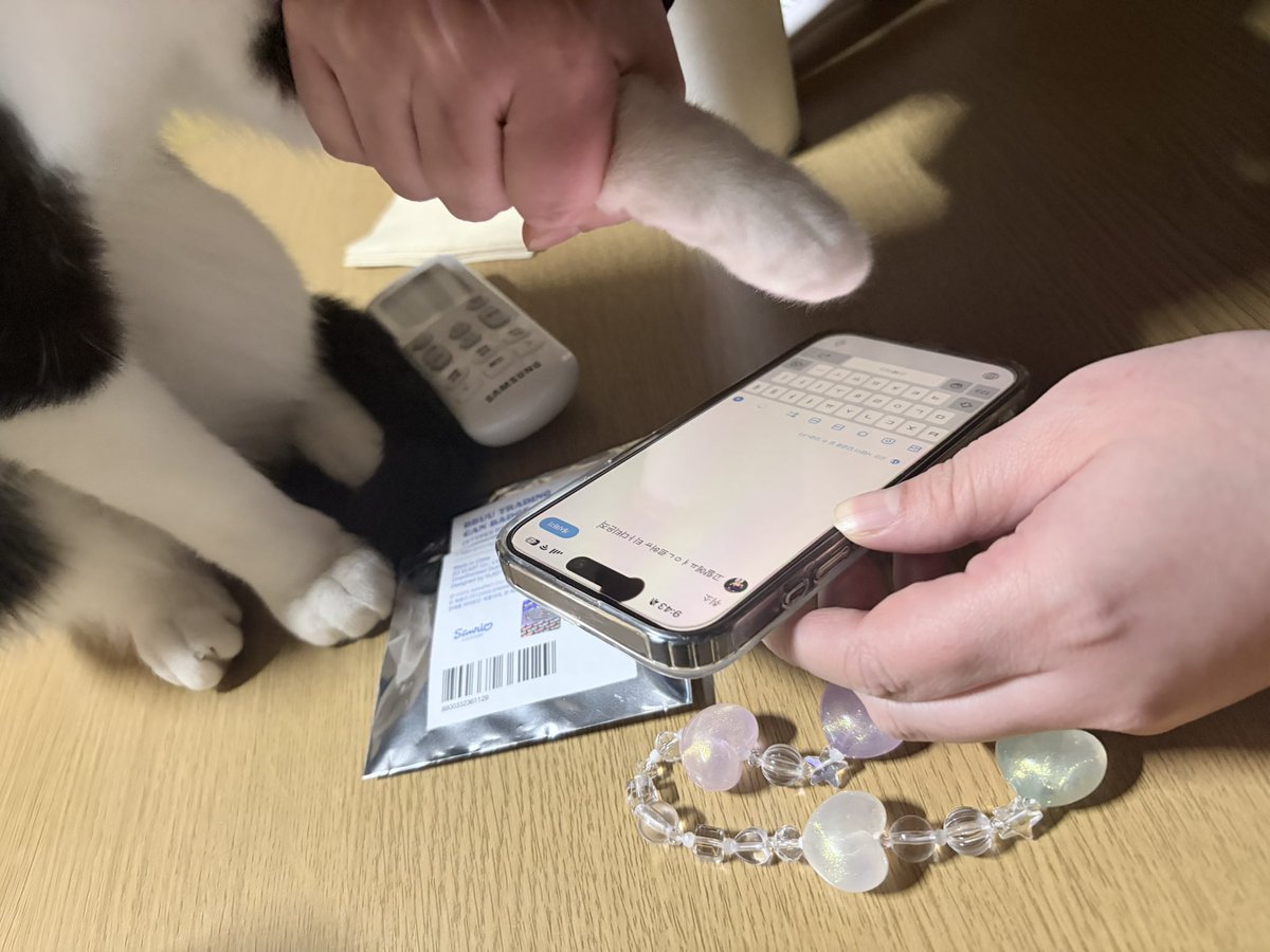 고랼에ㅛㅕㅇㄴ르허ㅠ 티ㅏ다티은즈 마
고양이손으로 타자치는중