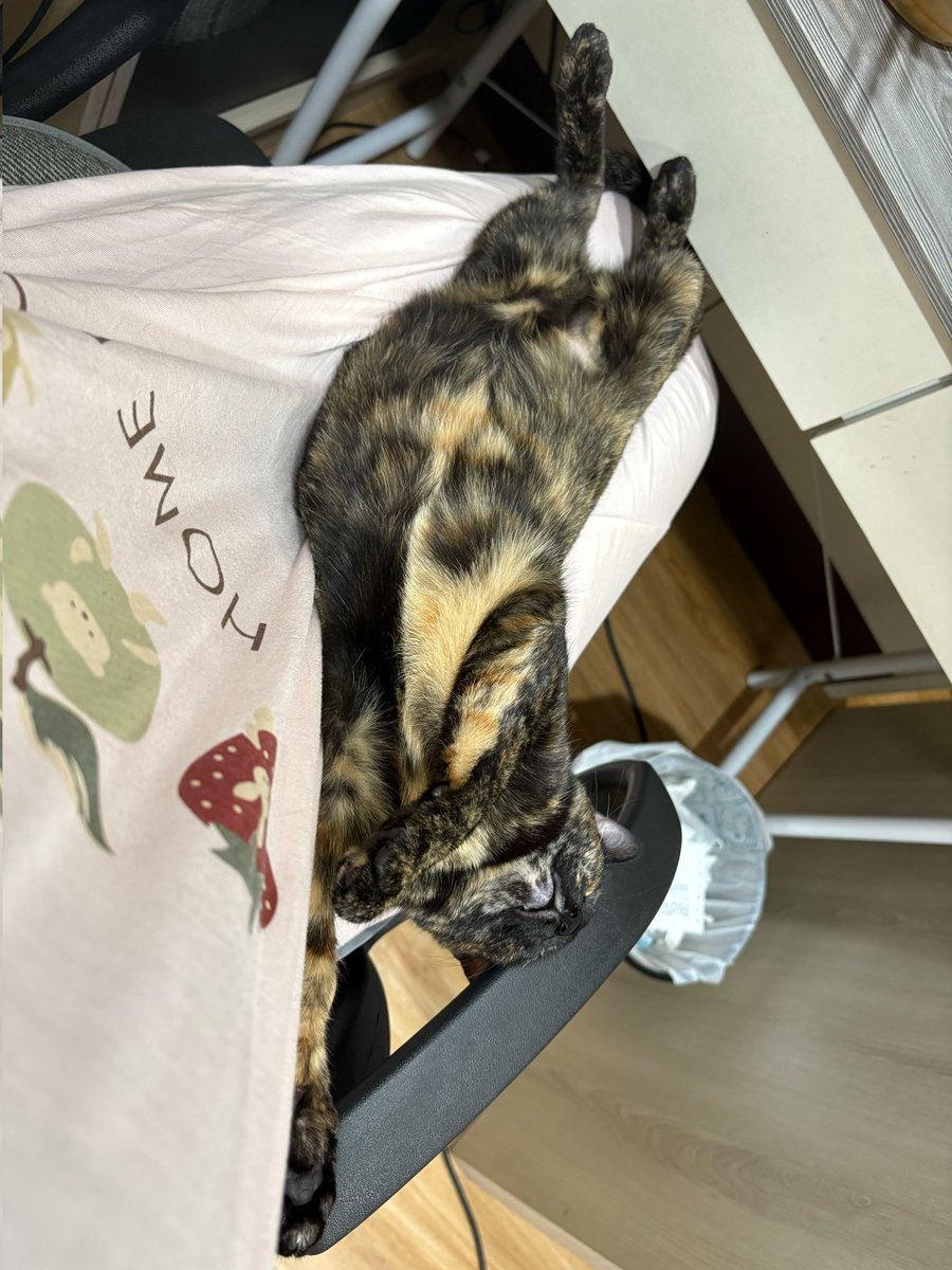 啊嗚啊嗚 tweet media