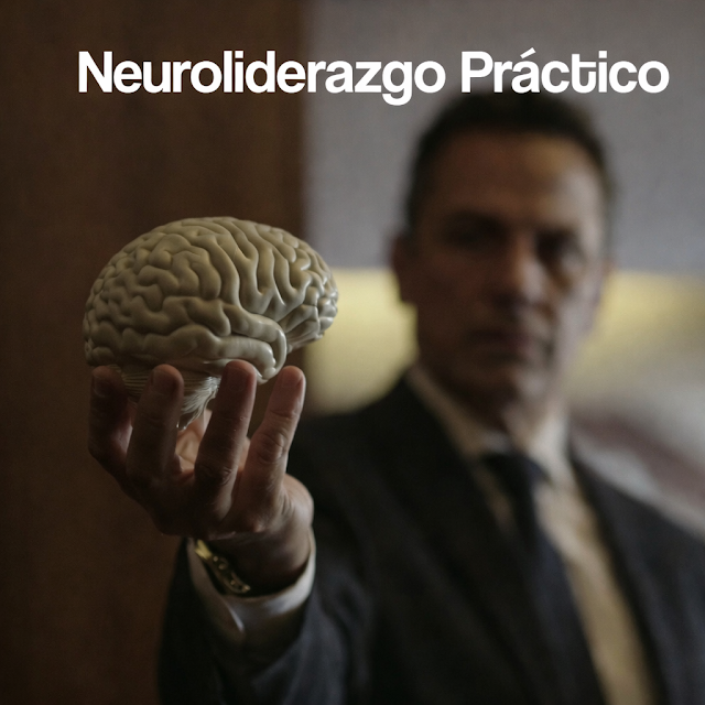 Liderar no es aguantar más presión.
Es entender cómo funciona el cerebro bajo presión.
Neuroliderazgo práctico, aplicado a la empresa real 👇
neurocienciaempresarial.com/2026/02/neurol…