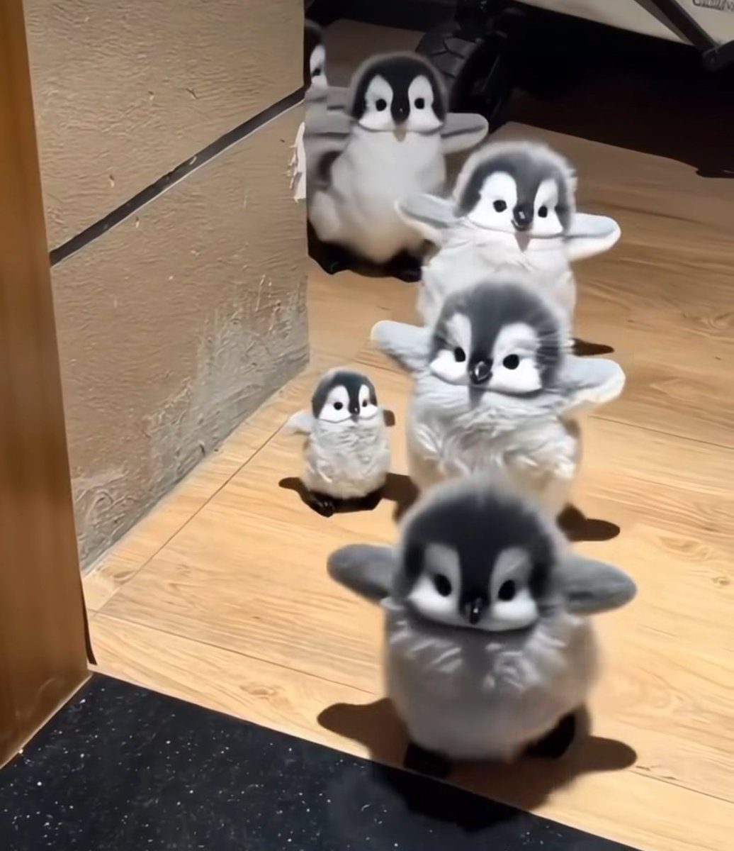 BlueA125 tweet media