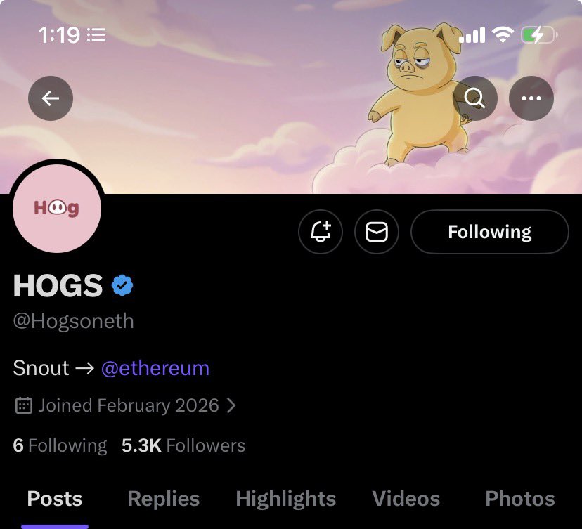 TheDefiantsDAO's tweet photo. 𝐂𝐨𝐥𝐥𝐚𝐛𝐨𝐫𝐚𝐭𝐢𝐨𝐧 𝐚𝐧𝐧𝐨𝐮𝐧𝐜𝐞𝐦𝐞𝐧𝐭 📣 

We’re thrilled to announce that we have partnered with @Hogsoneth and we’ll be giving away some GTD/FCFS WL spots to our community 🤝

Hogs is a primal Hogs nft forged in mud, smoke, and chaos. Hand-drawn jpegs coming soon on eth chain.

𝐏𝐫𝐨𝐣𝐞𝐜𝐭 𝐃𝐞𝐭𝐚𝐢𝐥𝐬:

✬ Project name: Hogs 

✬ Supply: 2222 

✬ price GTD : free 

✬ Mint Date: TBA 

✬ Mint Type: GTD : FCFS : PUBLIC 

✬ Blockchain: Ethereum 

✬ Launchpad: TBA 

𝐇𝐨𝐰 𝐭𝐨 𝐞𝐧𝐭𝐞𝐫 𝐟𝐨𝐫 𝐠𝐢𝐯𝐞𝐚𝐰𝐚𝐲: 

Follow Us @TheDefiantsDAO & @Hogsoneth and @Boycrrypt 

Giveaway post will be up in few hrs time 

Stay tuned 🤝