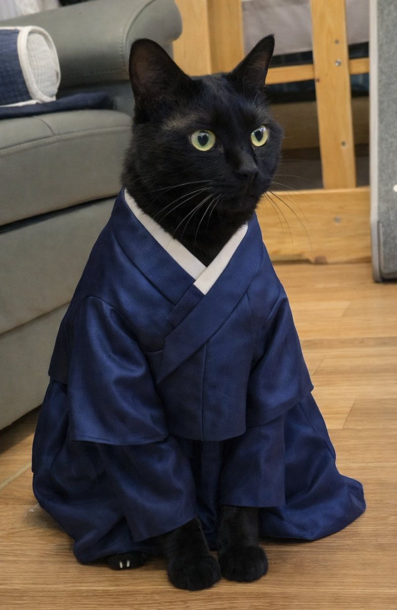 orbit_fall's tweet image. 아이 귀여워ㅋㅋㅋㅋㅋ