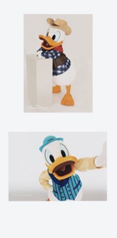 Mmr4A's tweet photo. ディズニー ランド シー 実写 写真 
ウエスタン アメフロ
お譲り先探してます

【譲】ドナルド

2月火曜舞浜手渡し
他要相談

お気軽にご連絡お願い致します
#ディズニー交換 https://t.co/XLeO7XucsW