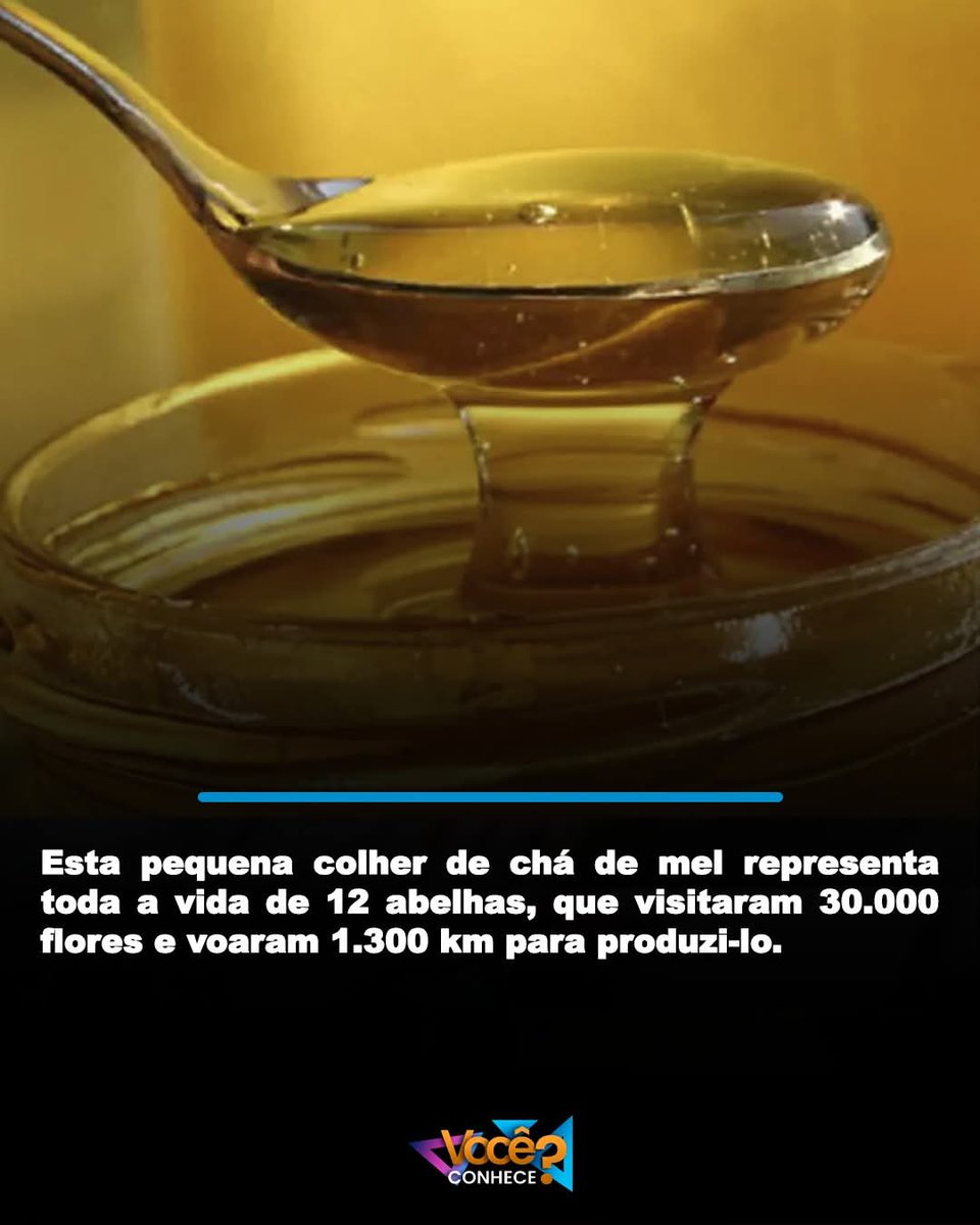 SensoCrtico1's tweet photo. Você nunca mais vai olhar para o mel do seu chá da mesma forma.

Aquele simples fio de mel que você coloca na xícara parece algo pequeno, mas por trás dele existe um processo natural que leva horas de trabalho coletivo das abelhas, repetido todos os dias.

O que parece apenas um detalhe no café da manhã é, na verdade, o resultado de milhares de visitas das abelhas às flores, coleta de néctar e um trabalho contínuo dentro da colmeia até que o mel esteja pronto.

Um lembrete de que, muitas vezes, as coisas mais simples da nossa rotina carregam processos incríveis da natureza.