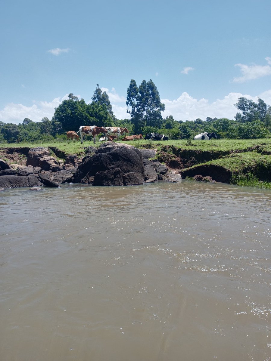 itsKoech_'s tweet photo. 📸📌
Previously on cycling Kiplombe - Soy Road.

This is arguably the best cycling road in and around Eldoret.

Especially when plants are green. https://t.co/Wf5r3I4OAN