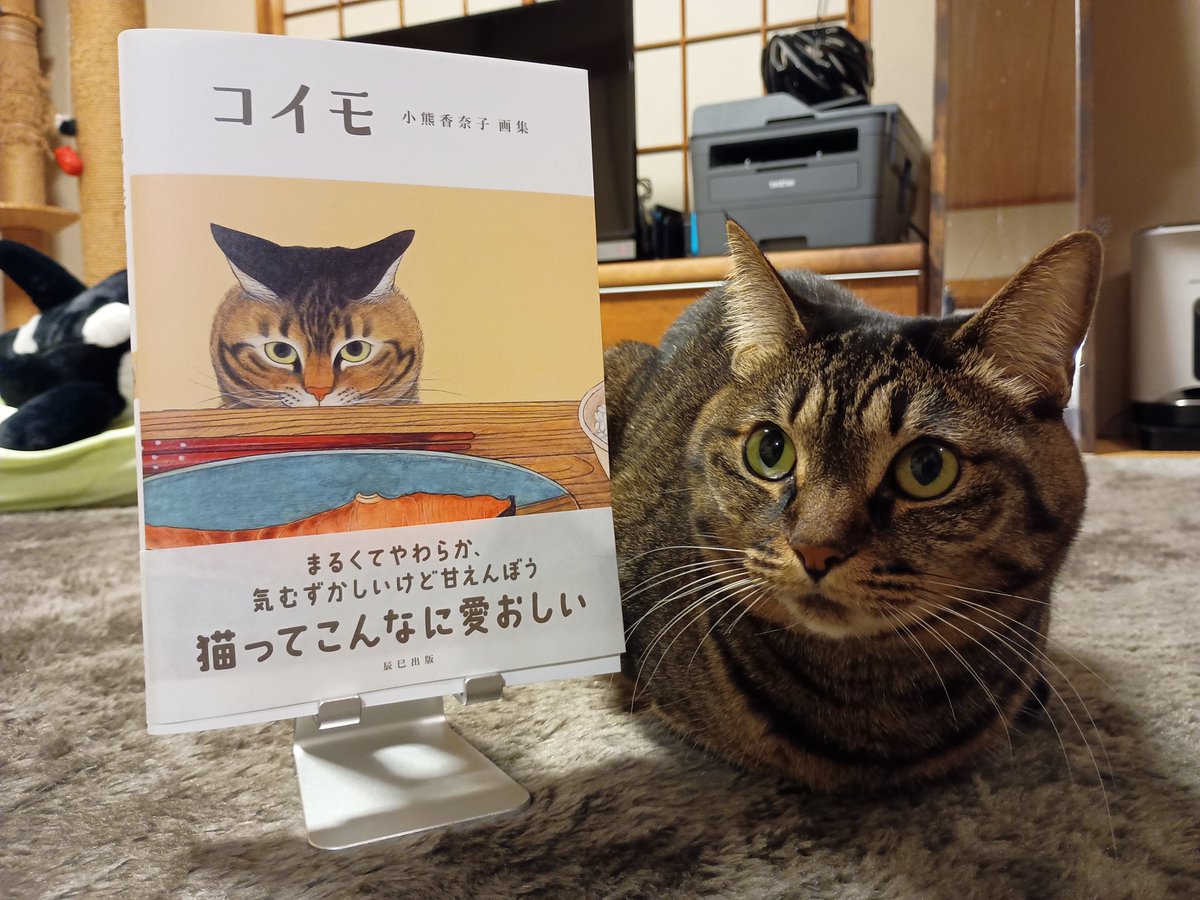 ばん@点猫🐈‍⬛ (@ten_byo) / Posts / X